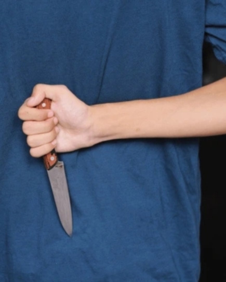 Criança de 8 anos mata a mãe a facadas durante discussão