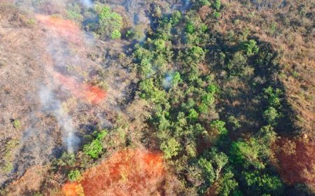 Incêndio na Serra de Santa Helena mobiliza força-tarefa com 47 agentes em Sete Lagoas