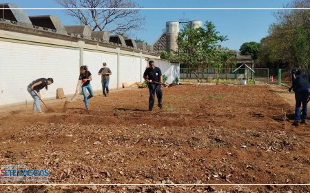 Prefeitura inaugura Horta Pedagógica no CAIC como espaço de educação e sustentabilidade