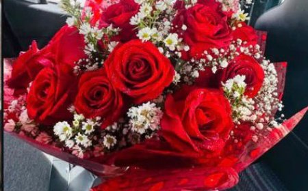 Rosa de Saron: há mais de 20 anos emocionando quem você ama!