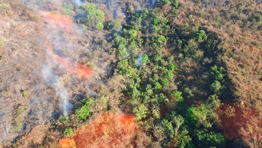 Incêndio na Serra de Santa Helena mobiliza força-tarefa com 47 agentes em Sete Lagoas