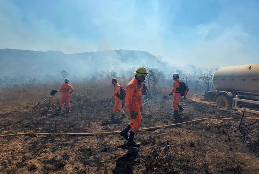 Fogo consumiu 350 hectares da Serra Santa Helena