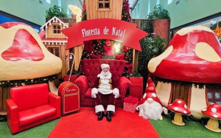 Papai Noel chega à Floresta Mágica de Natal e dá início à temporada mais encantadora do Shopping Sete Lagoas
