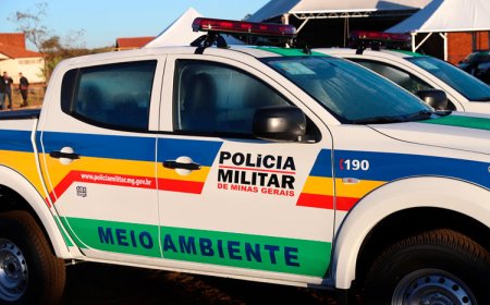 Polícia Ambiental descobre cativeiro ilegal de aves no Jardim Universitário em Sete Lagoas