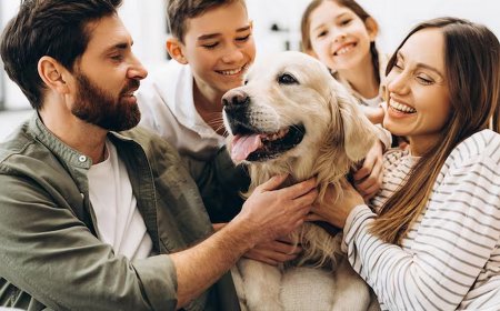 Oito em cada dez brasileiros dizem que ter pet na família melhora qualidade de vida