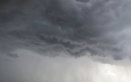 Temporal chegou em BH, deixando motoristas ilhados e causando quedas de árvores
