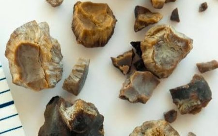 Cientistas criam minirrobôs contra pedras nos rins