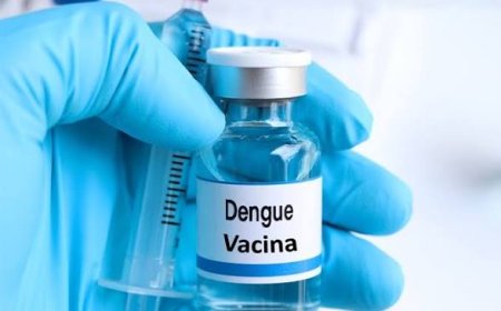 Pesquisadora cria 1ª vacina 100% brasileira contra dengue