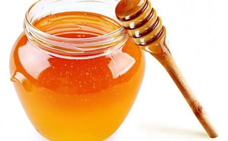 Por que o produto de abelhas sem ferrão é mais caro