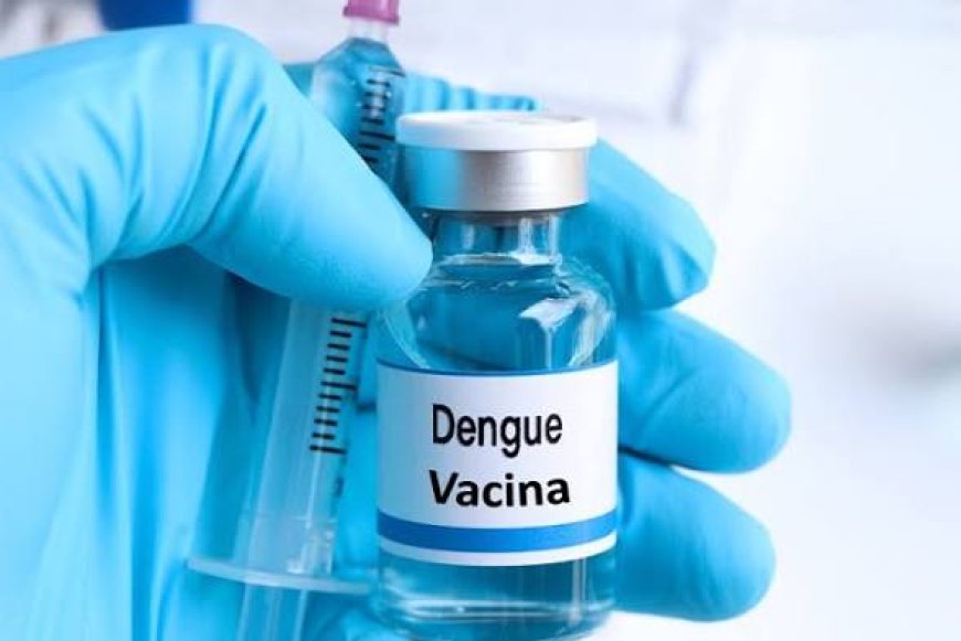 Pesquisadora cria 1ª vacina 100% brasileira contra dengue