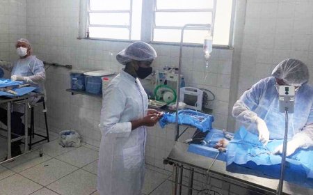 Prefeitura abre inscrições para castração gratuita de cães e gatos