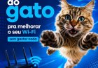 Shield Telecom dá dica simples para melhorar o sinal do Wi-Fi dentro de casa