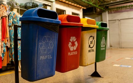 ESG na prática: o desafio da reciclagem no Brasil
