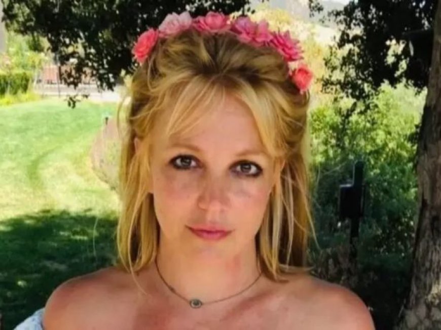 Britney Spears se declara culpada em processo