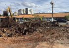 Prefeitura conclui supressão de Ficus elastica e realizará plantio de substituição