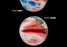 El Niño é confirmado e pode se tornar um dos mais intensos das últimas décadas
