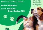 Castramóvel oferece castração gratuita para cães e gatos no bairro Montreal até quinta-feira (19)