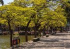 Tempo firme e manhã fria marcam esta terça-feira em Sete Lagoas