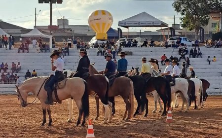 Exposição Mangalarga Marchador acontece de 11 a 14 de junho em Sete Lagoas; veja programação