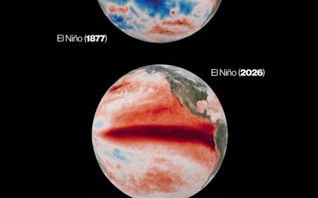 El Niño é confirmado e pode se tornar um dos mais intensos das últimas décadas