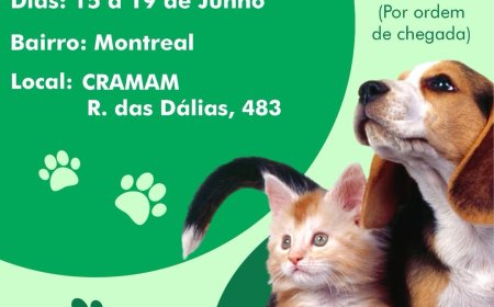 Castramóvel oferece castração gratuita para cães e gatos no bairro Montreal até quinta-feira (19)