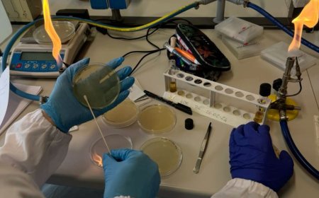 Da estética à perícia criminal: Biomedicina se destaca como uma das carreiras mais versáteis da área da saúde