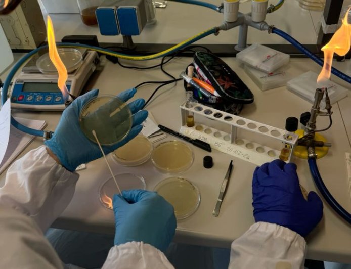 Da estética à perícia criminal: Biomedicina se destaca como uma das carreiras mais versáteis da área da saúde