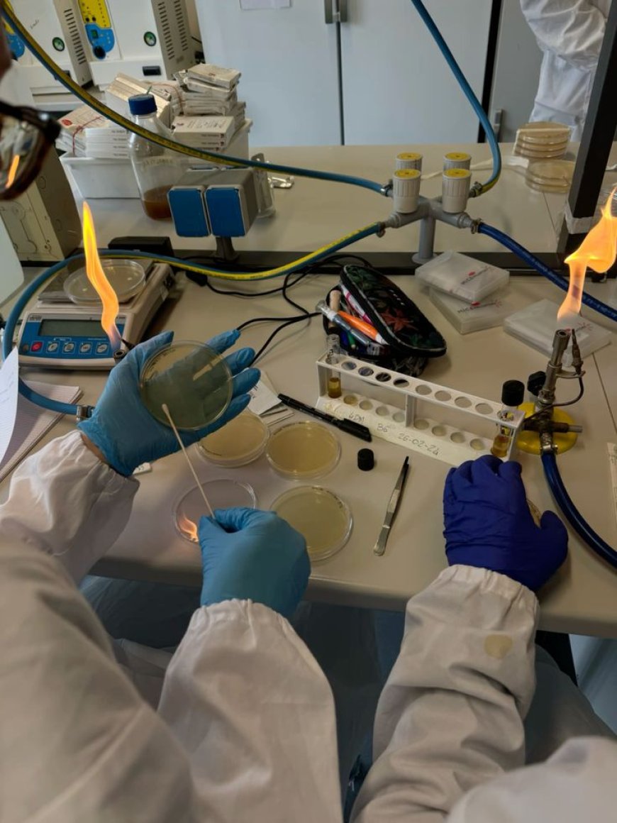 Da estética à perícia criminal: Biomedicina se destaca como uma das carreiras mais versáteis da área da saúde